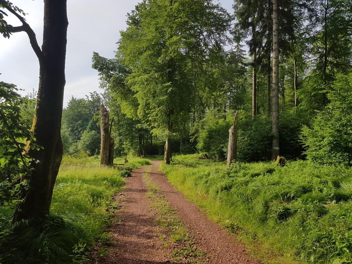 Ferienwohnungen.Ruhla Bagian luar foto