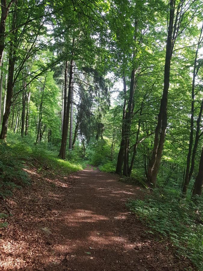 Ferienwohnungen.Ruhla Bagian luar foto