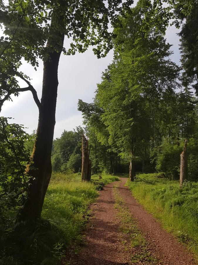 Ferienwohnungen.Ruhla Bagian luar foto