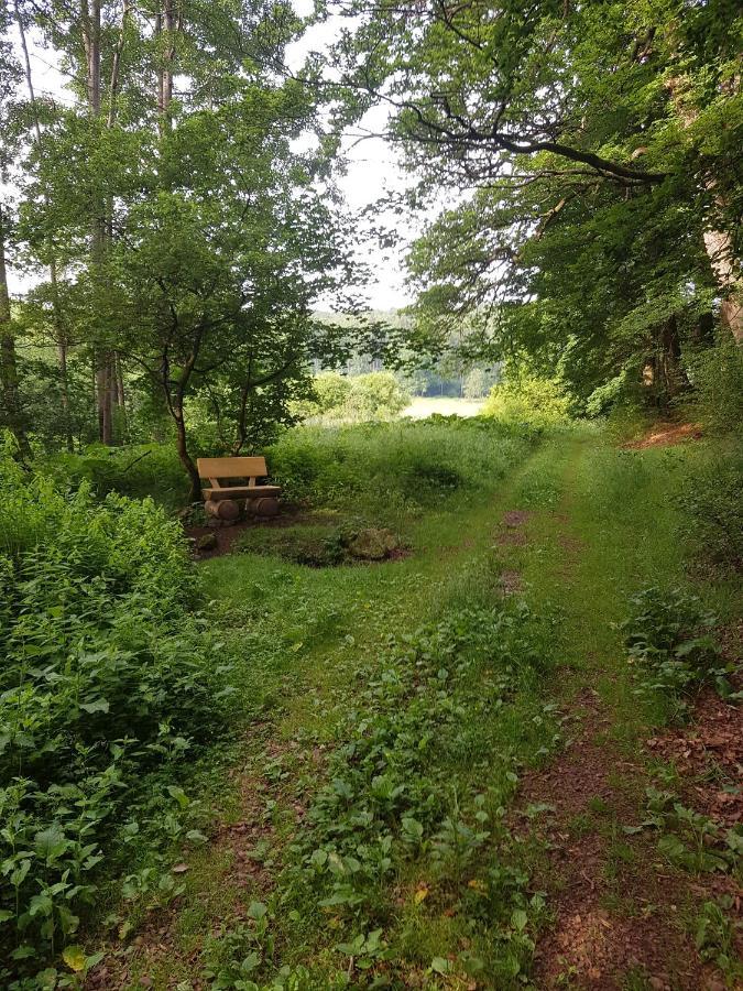 Ferienwohnungen.Ruhla Bagian luar foto