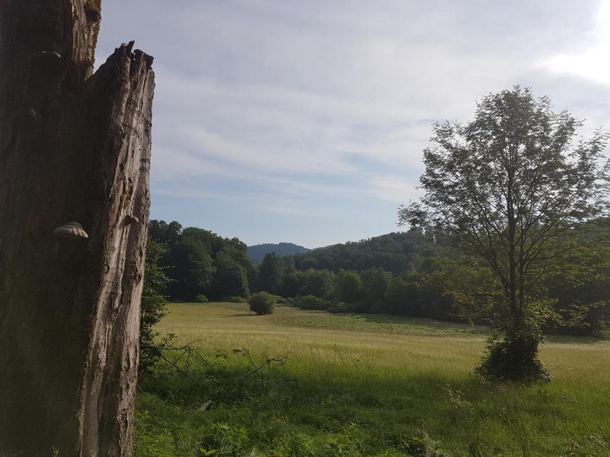 Ferienwohnungen.Ruhla Bagian luar foto