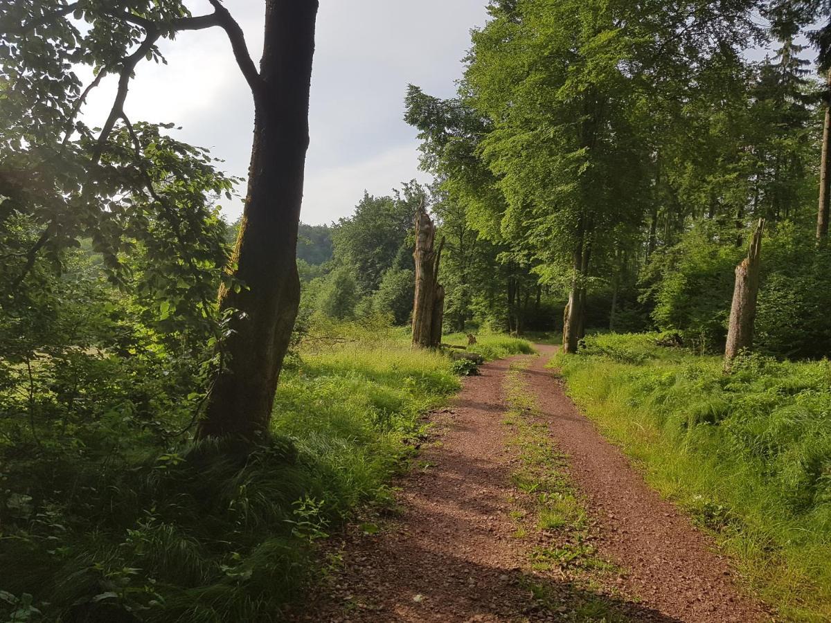 Ferienwohnungen.Ruhla Bagian luar foto